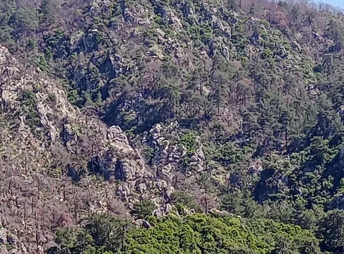 Kosa Butik 호텔 4*