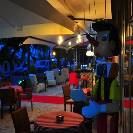 Hotel Kosa Butik 4*
