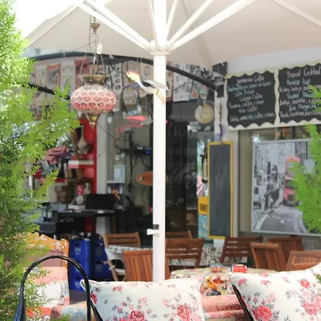 酒店 Kosa Butik